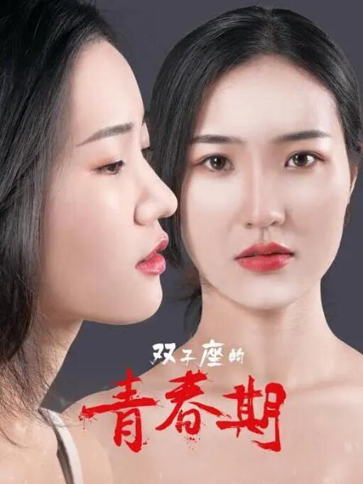 双子座的青春期海报